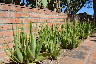 Lotus Massage & Wellness Center, Tucson