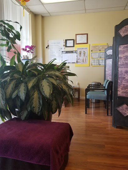 Wellness Massage, DC
