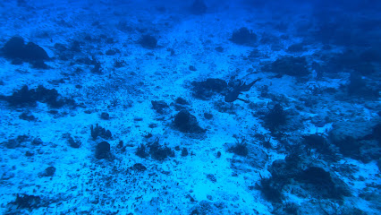 Barefoot in Cozumel