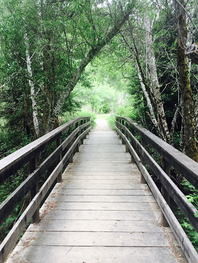 Lightworker Integrative Massage and Healing, Ukiah