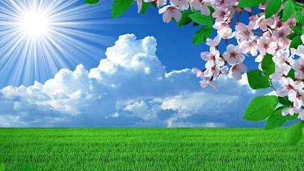 PamPurring Massage Therapy, Watsonville