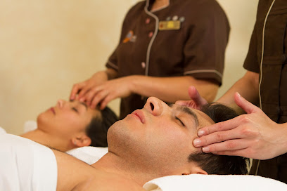 Desértika Spa Polanco Homero