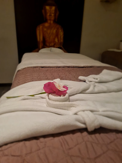 Spa Med, Saltillo