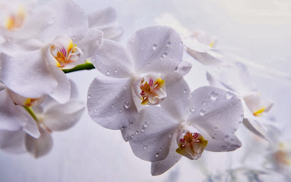 Little Wishes Spa & Wellness Center, Richmond