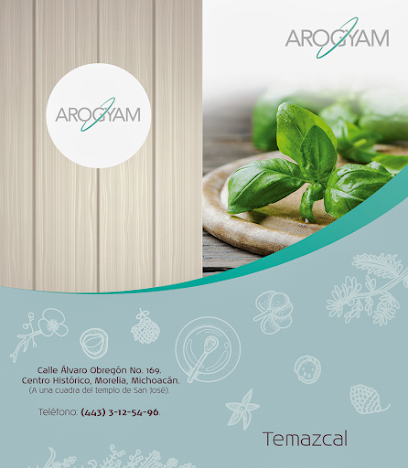 Arogyam: Camas de Masaje y Temazcal