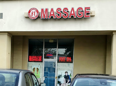 Spring Therapy Massage